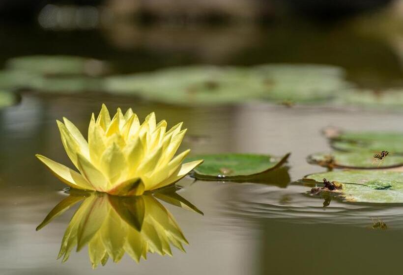 ベッドアンドブレックファースト Mas La Chêneraie Lourmarin   Au Calme, à 10 Mn Du Centre Ville à Pied