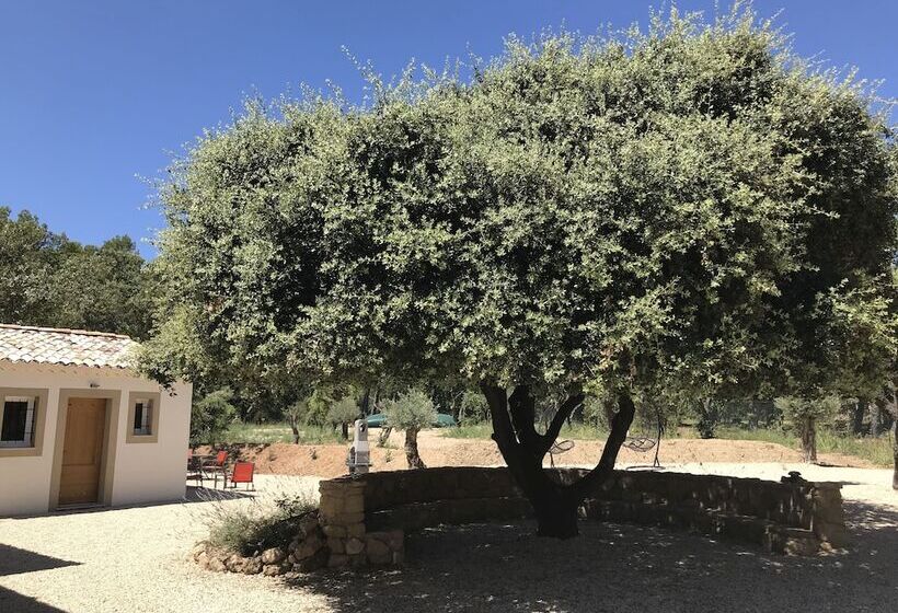 ベッドアンドブレックファースト Mas La Chêneraie Lourmarin   Au Calme, à 10 Mn Du Centre Ville à Pied