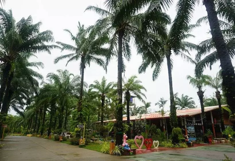 هتل Lay Trang Boutique