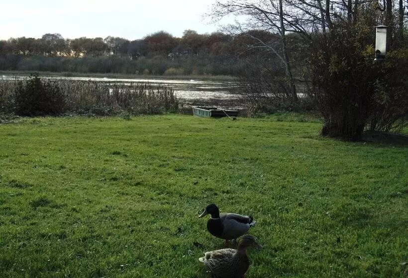 ホテル The Tranquil Otter