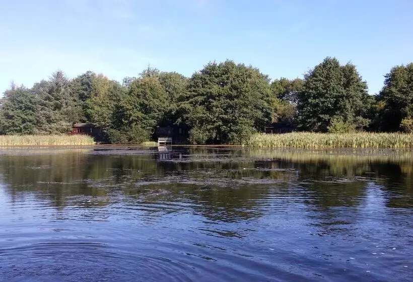 ホテル The Tranquil Otter