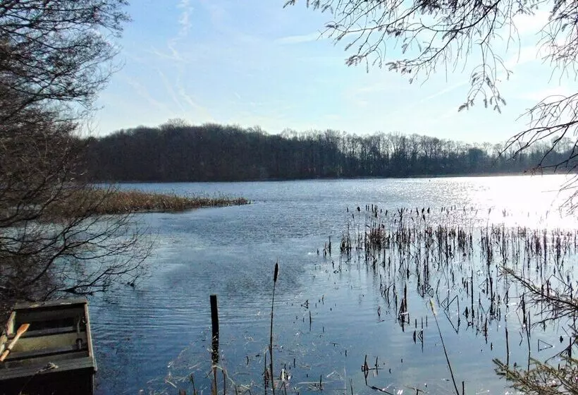 ホテル The Tranquil Otter