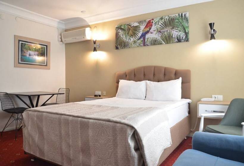 בית מלון כפרי Tokat Burcu