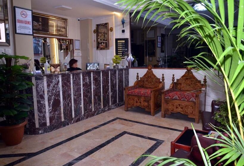 בית מלון כפרי Tokat Burcu