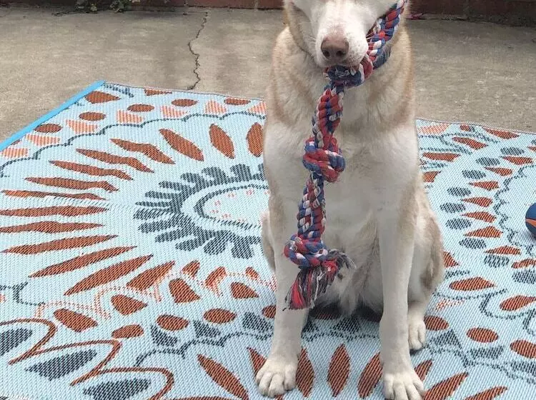 Life Is Good Bed And Breakfast