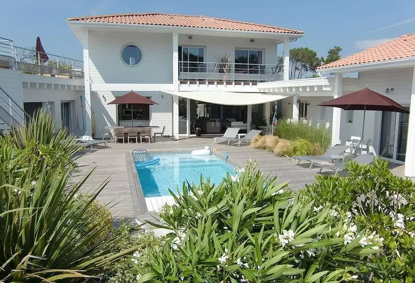 Aamiaismajoitus (B&B) Chambres D Hôtes Côte & Dune