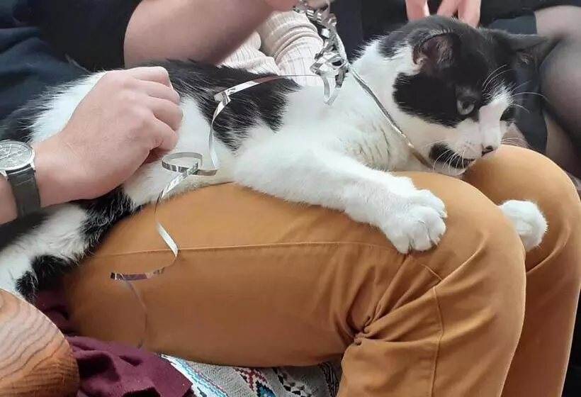 Aamiaismajoitus (B&B) La Maison Bleue