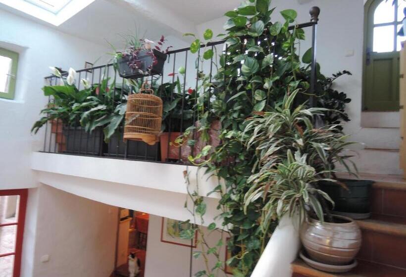 Bed and Breakfast La Maison Bleue