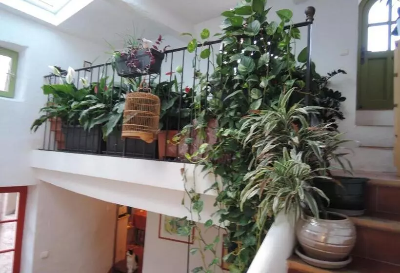 Aamiaismajoitus (B&B) La Maison Bleue