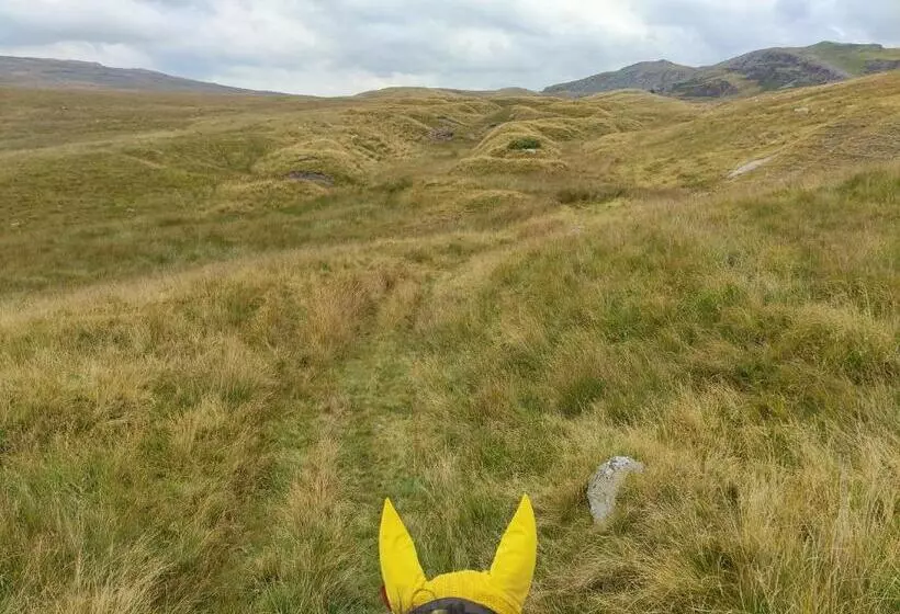 Aamiaismajoitus (B&B) Pentre Riding Stables