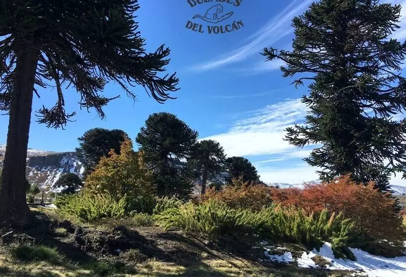 Hostelli Hostería De Montaña Los Duendes Del Volcán
