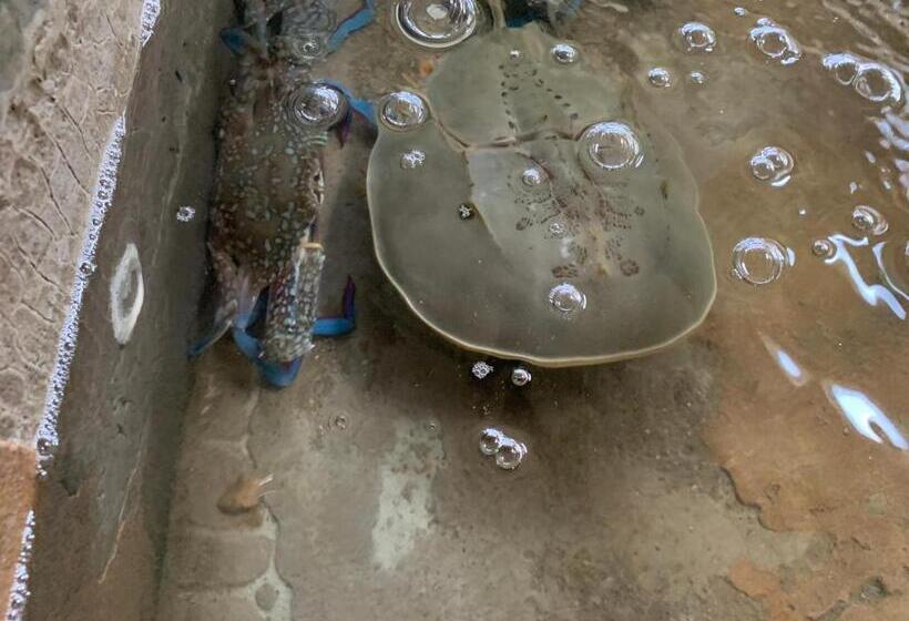 فندق Horizon Beach Resort Koh Jum