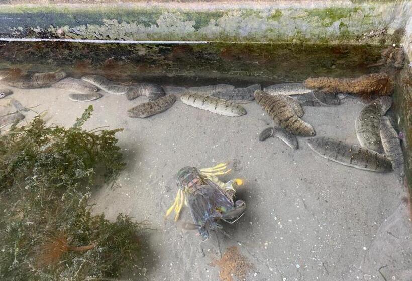 فندق Horizon Beach Resort Koh Jum