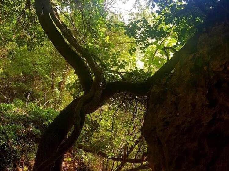 호텔 La Cabane Des Amoureux