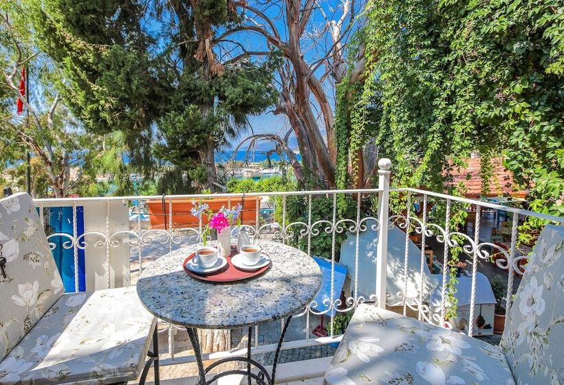 酒店 Turkuaz Pansiyon