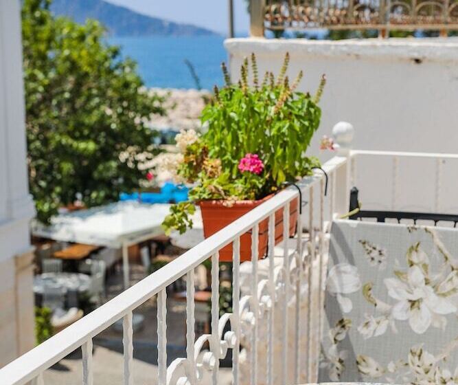 酒店 Turkuaz Pansiyon