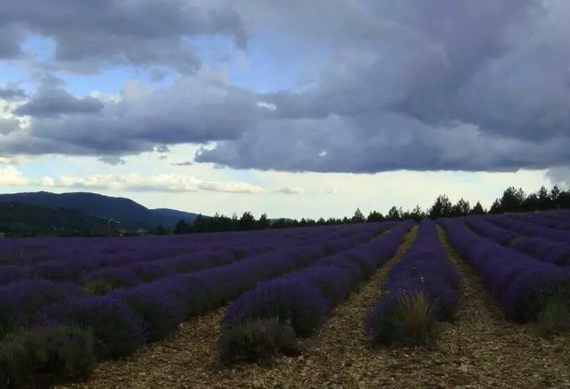 Aamiaismajoitus (B&B) La Maison Bleue