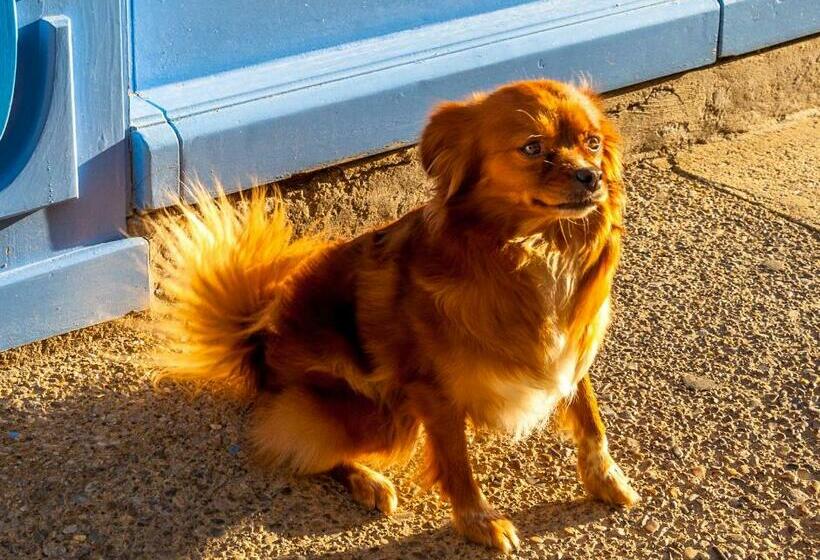 Bed and Breakfast La Maison Bleue