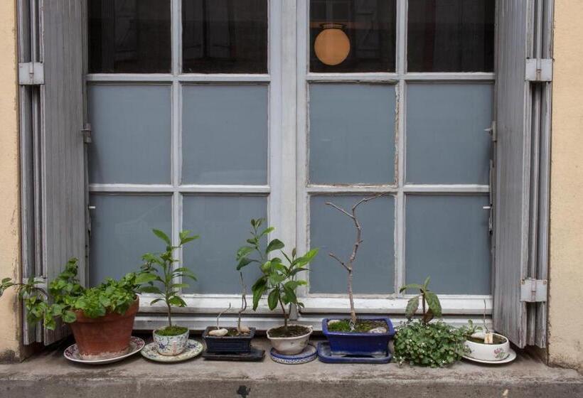 פנסיון 46fm : Montauban Guest House