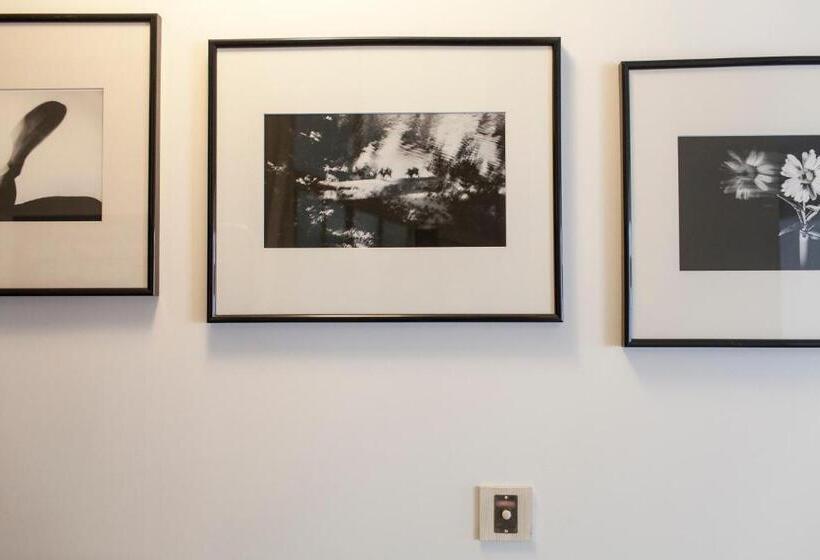 פנסיון 46fm : Montauban Guest House