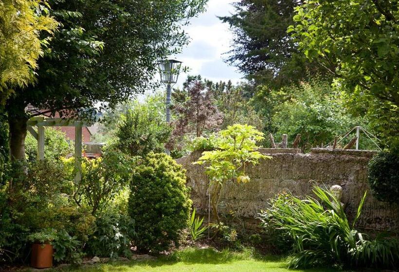 بنسيون The Old House Guest House