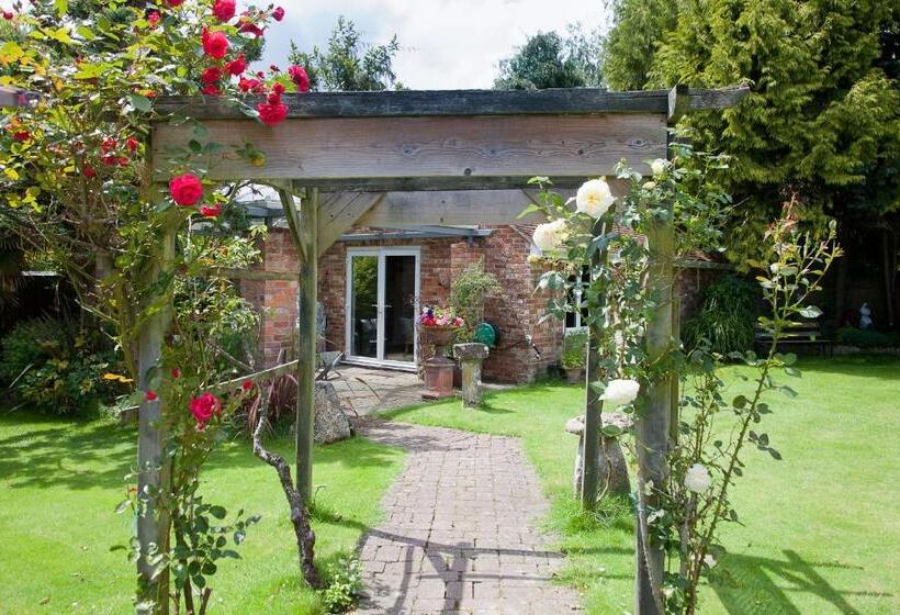 بنسيون The Old House Guest House