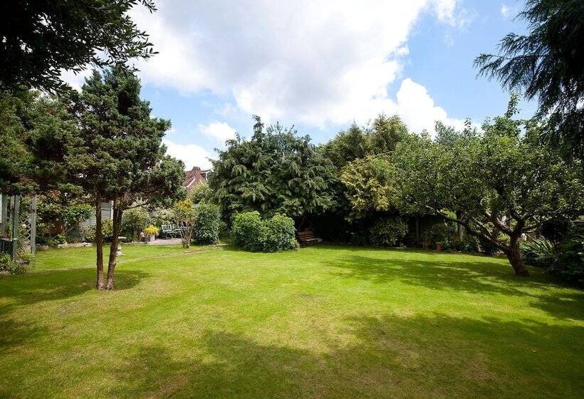 بنسيون The Old House Guest House