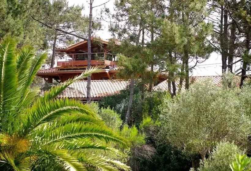 ペンション Yamina Lodge