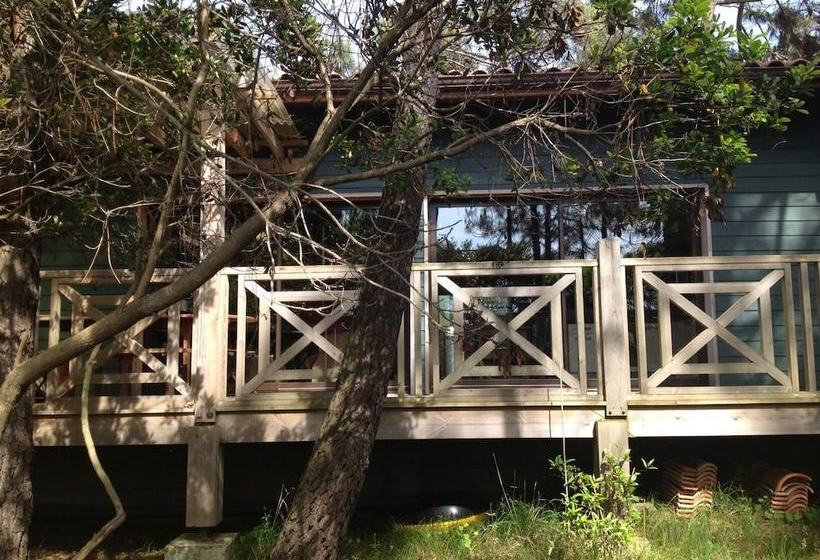 膳宿费 Yamina Lodge