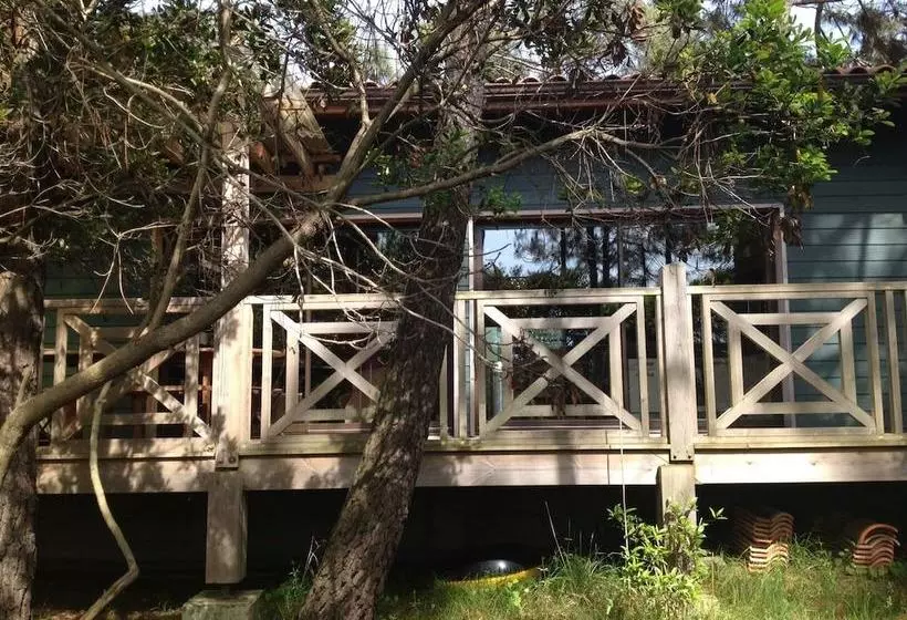 ペンション Yamina Lodge