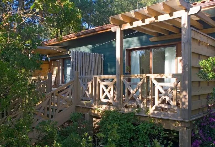 ペンション Yamina Lodge