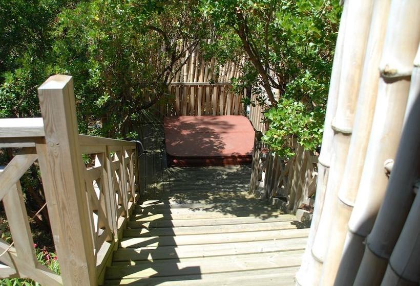 膳宿费 Yamina Lodge