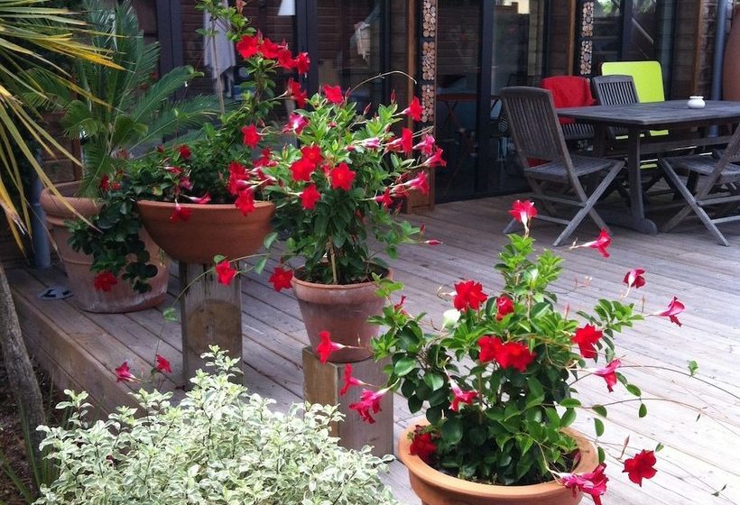 膳宿费 Yamina Lodge