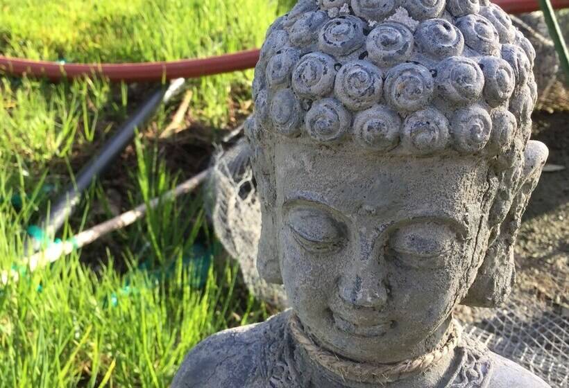 渡假胜地  Heartwood Mountain Sanctuary