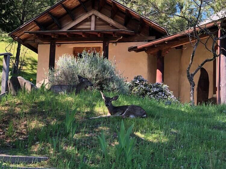 渡假胜地  Heartwood Mountain Sanctuary