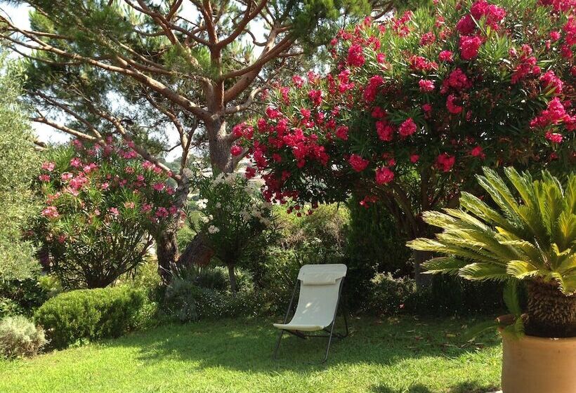 مبيت وإفطار Mas Samarcande