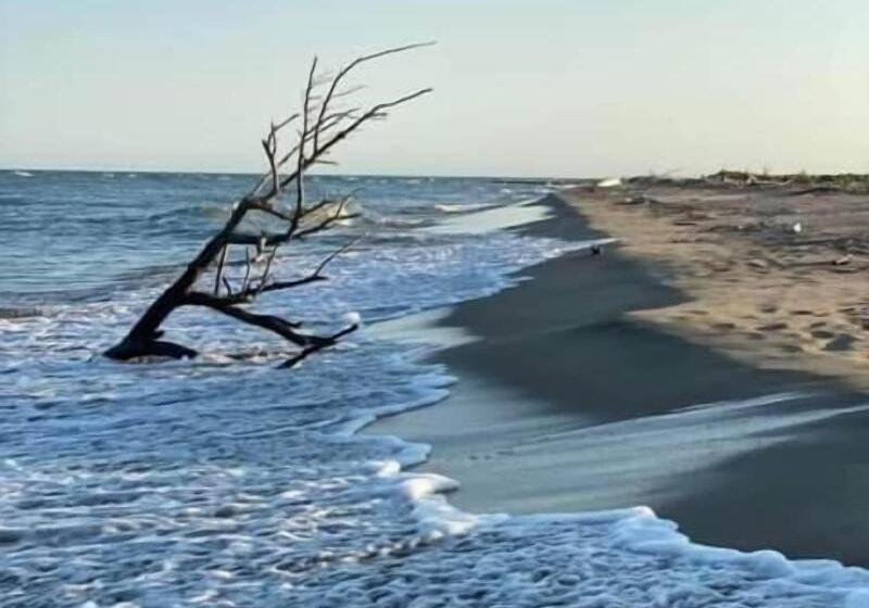 ホテル Hôtel Restaurant La Plage