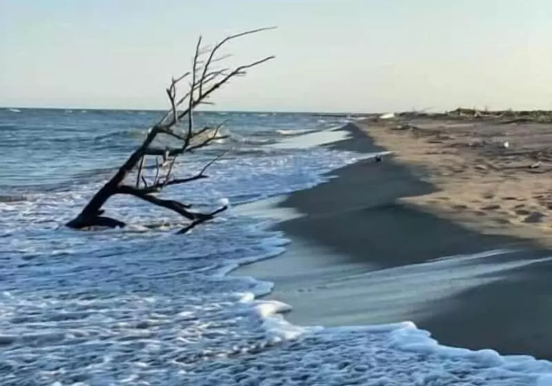 Hotelli Hôtel Restaurant La Plage