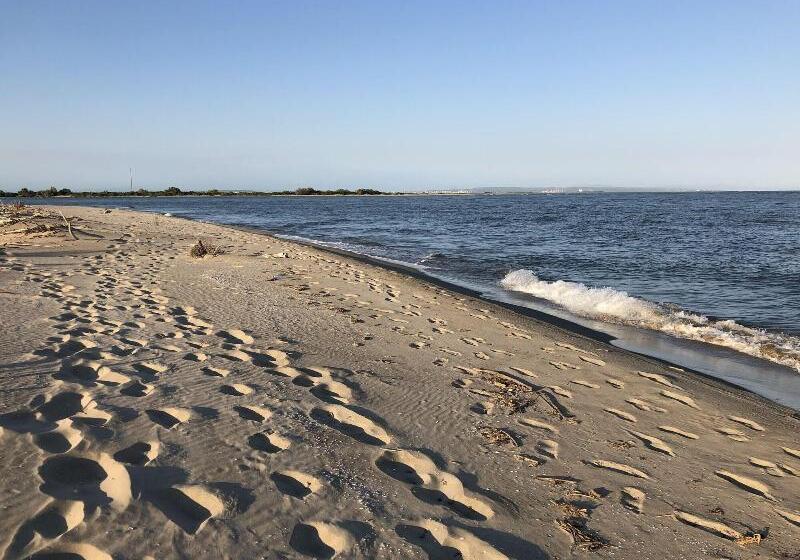 ホテル Hôtel Restaurant La Plage