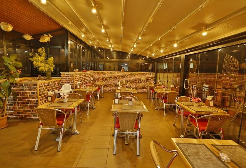 Mimoza Butik Otel Buyukada