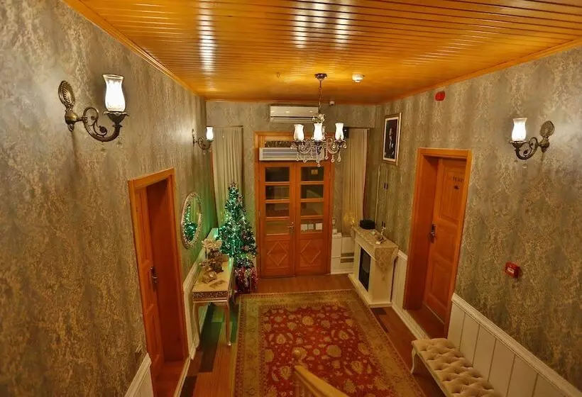 Mimoza Butik Otel Buyukada