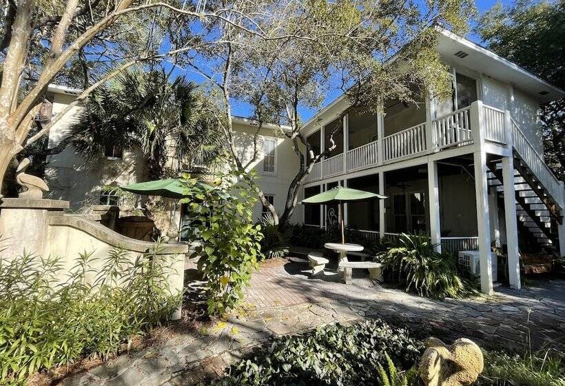 مبيت وإفطار Hibiscus Coffee & Guesthouse