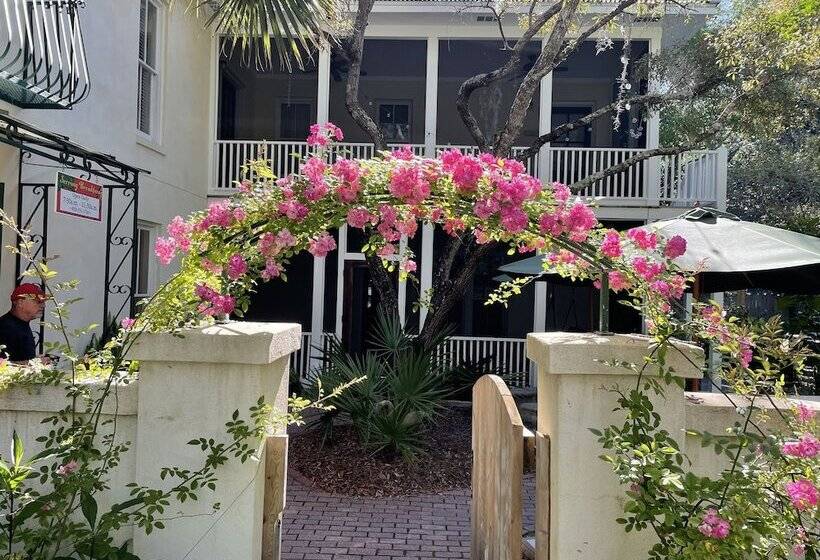 مبيت وإفطار Hibiscus Coffee & Guesthouse