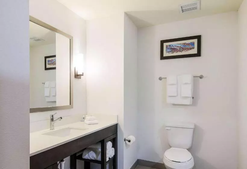 ホテル Comfort Inn & Suites Gulf Shores East Beach Near Gulf State Park