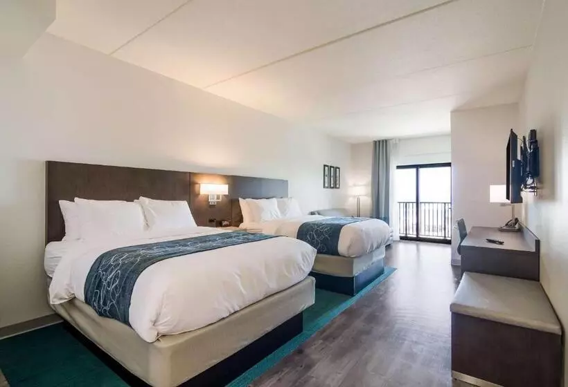 ホテル Comfort Inn & Suites Gulf Shores East Beach Near Gulf State Park