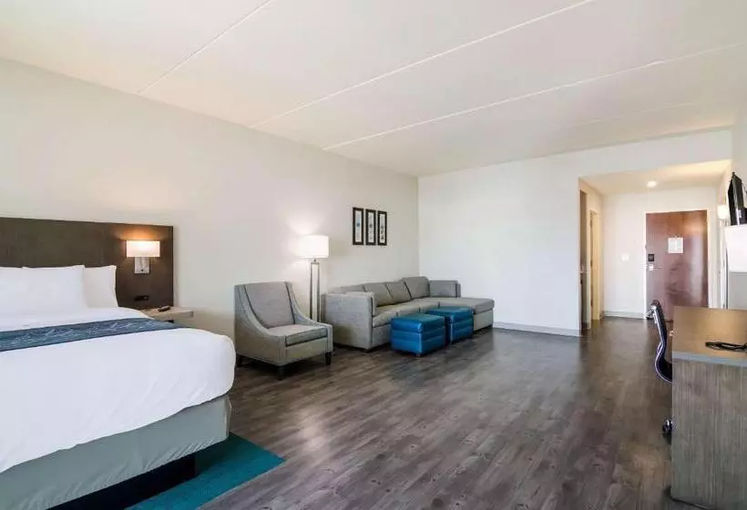 ホテル Comfort Inn & Suites Gulf Shores East Beach Near Gulf State Park