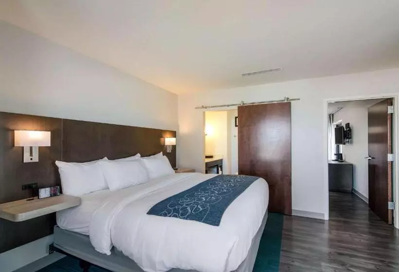 ホテル Comfort Inn & Suites Gulf Shores East Beach Near Gulf State Park