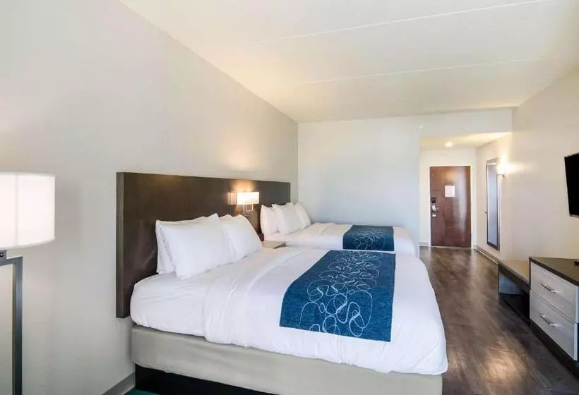 ホテル Comfort Inn & Suites Gulf Shores East Beach Near Gulf State Park