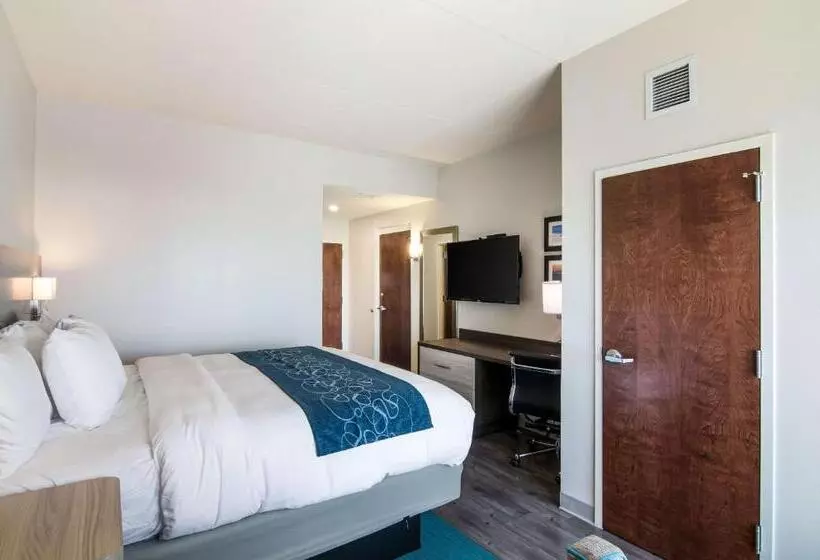 ホテル Comfort Inn & Suites Gulf Shores East Beach Near Gulf State Park