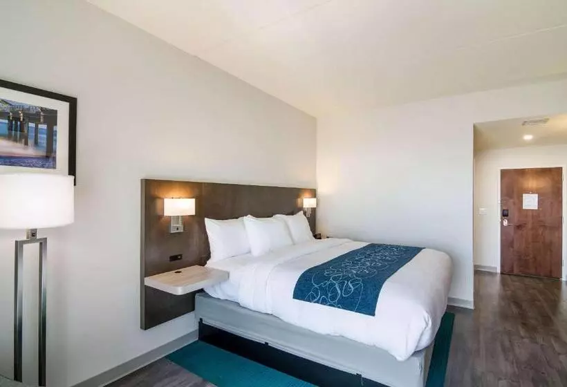 ホテル Comfort Inn & Suites Gulf Shores East Beach Near Gulf State Park